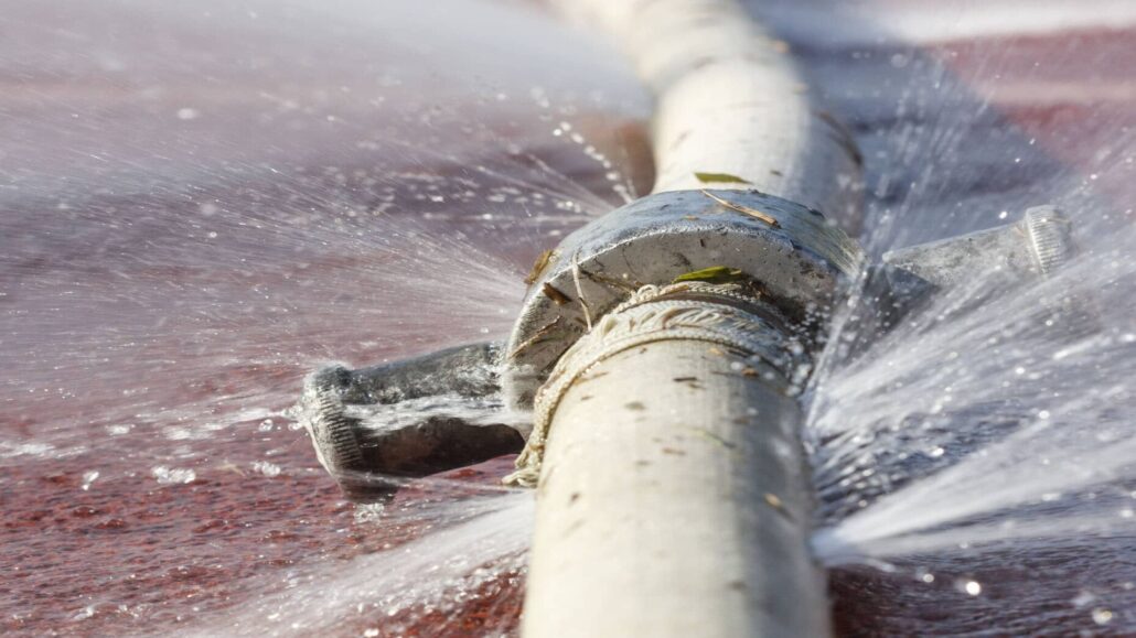 Common causes of blocked drains in Brisbane—tree roots, grease, debris