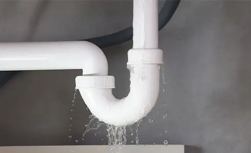 Common causes of blocked drains in Brisbane—tree roots, grease, debris